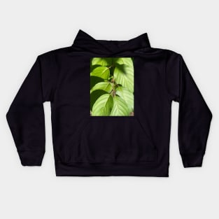 Leaf it up to Me! Kids Hoodie